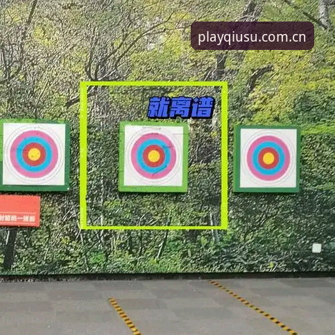 解决球速娱乐下载安装常见问题的5个关键步骤