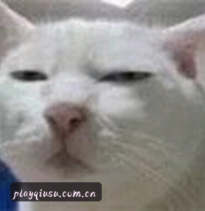 王磊